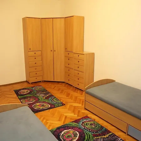 Pavlov Cluj-Napoca